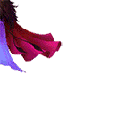 祝福有情人都是失散的兄妹表情包6