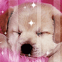 可怜的二师兄qq表情7