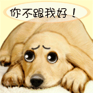 自己的的表情14