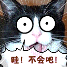 守群等待艳遇的表情6