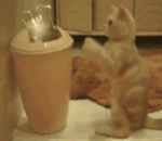 滑稽表情包黑色背景14