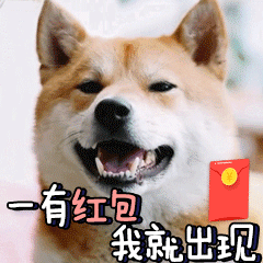 qq超大霸屏表情包熊猫7