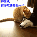 小时的表情11 小时的表情11