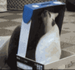 gif超清表情动态图动漫9 gif超清表情动态图动漫9