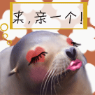 贝斯手表情包4 贝斯手表情包4