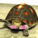 熊猫表情包图片沙雕无字9