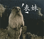 包在的表情20246 包在的表情20246