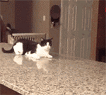 2025有关生气的文字表情12 2025有关生气的文字表情12