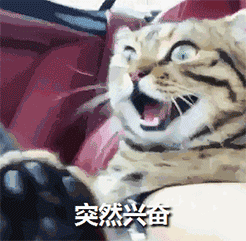 最沙雕表情包都有什么9