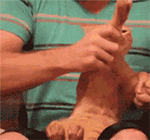 抗疫情问候表情包图片大全2 抗疫情问候表情包图片大全2