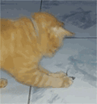 微信国庆祝福表情11 微信国庆祝福表情11