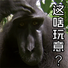 爱情的表情20245 爱情的表情20245