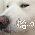 2025描述妈妈的个性表情9 2025描述妈妈的个性表情9