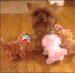 2024关于荒芜的沙雕表情4