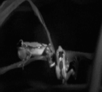 穷的表情动态5 穷的表情动态5