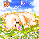 iphone表情符号的意思对照表3