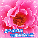 欢迎新同学动态表情图4 欢迎新同学动态表情图4