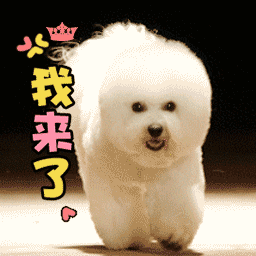 乖乖睡吧图片9 乖乖睡吧图片9