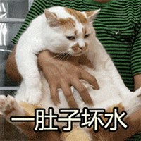 小鹿乱撞表情包动漫5 小鹿乱撞表情包动漫5