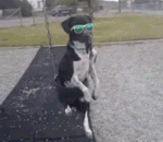 胡牌的微信表情4