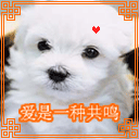 表情包搞笑沙雕战争8