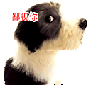 小可爱表情包生气4 小可爱表情包生气4