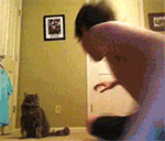 动图带文字表情包11 动图带文字表情包11