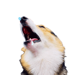 牙痛表情包卡通2