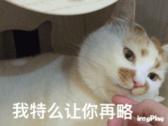 副驾驶美女表情包1 副驾驶美女表情包1