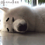 qq表情图片恶搞10