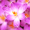 老大爷的表情20246