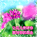 宝宝很生气哄不好的那种图片6