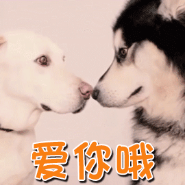 帅气的表情包动漫7