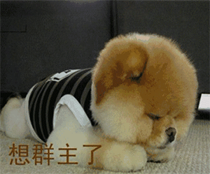 原神给我点钱买肯德基表情包8