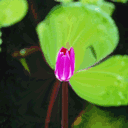 暴走表情包无字原图12 暴走表情包无字原图12