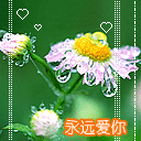 群里早晨问候漂亮动态表情图片10 群里早晨问候漂亮动态表情图片10