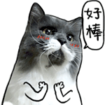 原神傲娇表情10 原神傲娇表情10