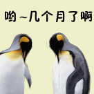 老的qq企鹅表情什么意思5
