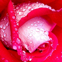 暴走新表情在哪5