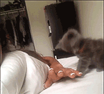 精选15组女包的沙雕表情图3