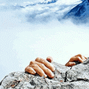 免费的祝福你快乐表情包3