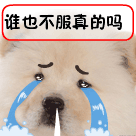 宋民国抱胸生气表情包3