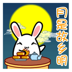 桐崎千棘可爱表情5 桐崎千棘可爱表情5