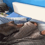 恶搞惊吓熊猫表情包10