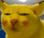 猴子的恶搞表情包11 猴子的恶搞表情包11