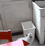 美女等着你的表情包11 美女等着你的表情包11