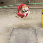 说好的爱情表情包10