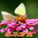 生无可恋用qq表情符号5