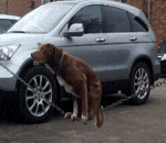 2023比喻女生的文字表情7 2023比喻女生的文字表情7