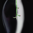 爱情公寓笑死人表情包5 爱情公寓笑死人表情包5